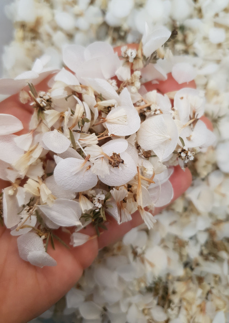 Preserved Hydrangea Confetti - Mixed Flower