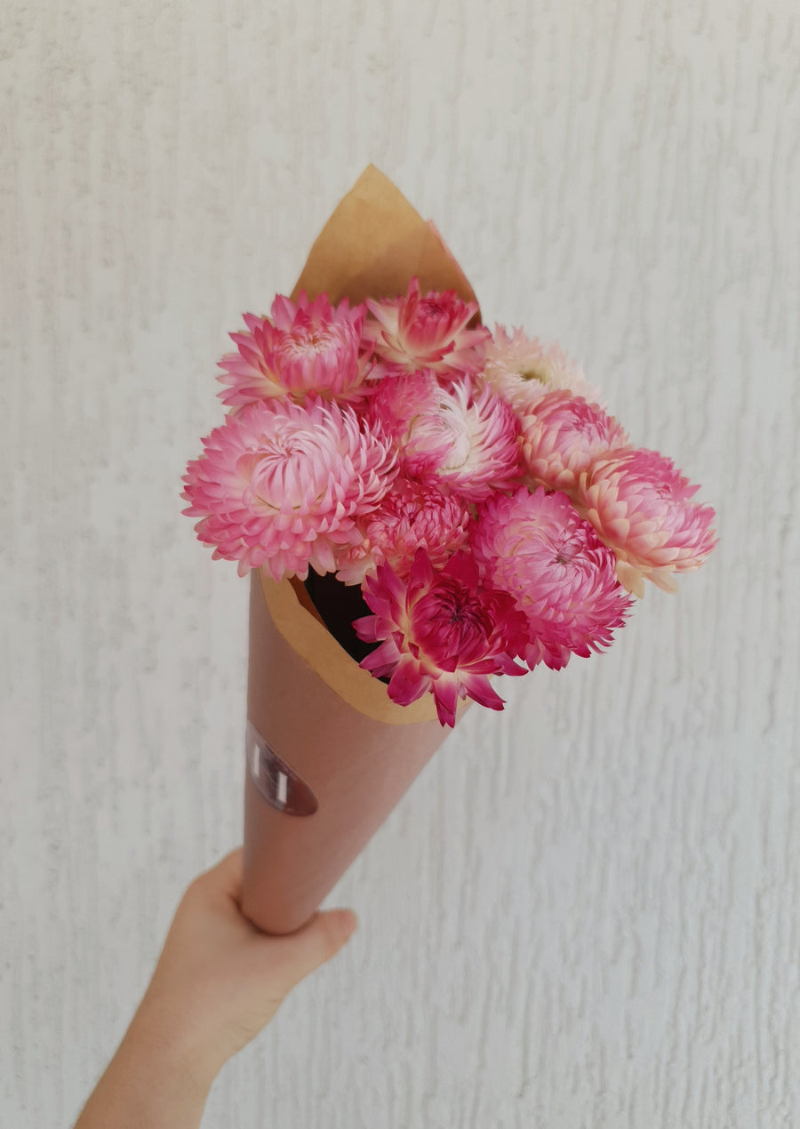 Straw Flower Bouquets - Dried - Everlasting - Dark Pink