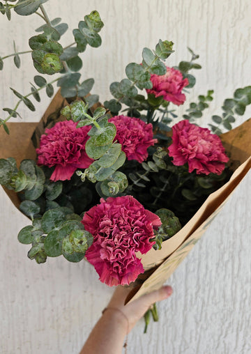 *International Womens Day* Fresh Pink Carnations with seasonal foliage  Florals - Wrapped