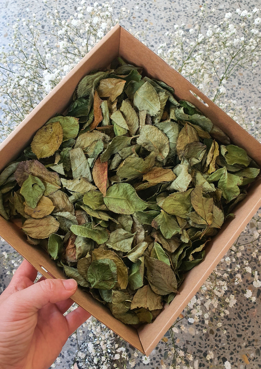 Dry Rose leaf Confetti