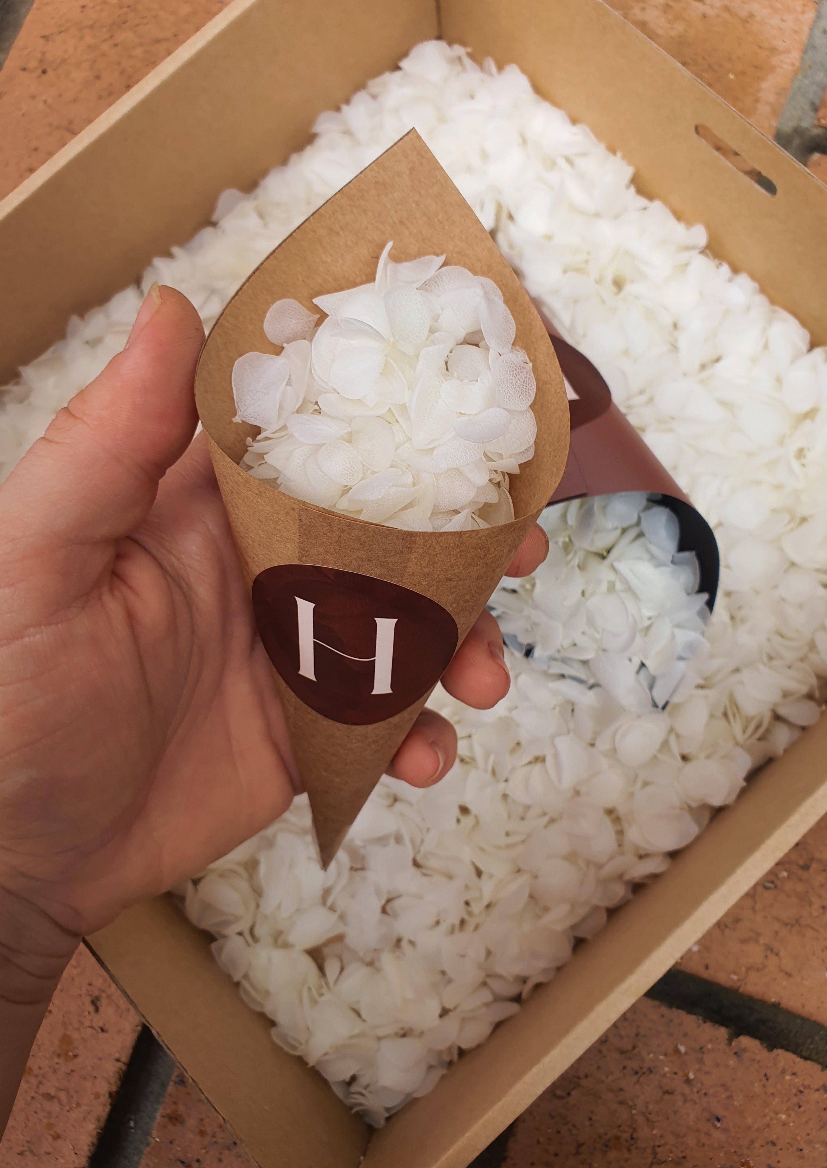 Preserved Hydrangea Confetti White