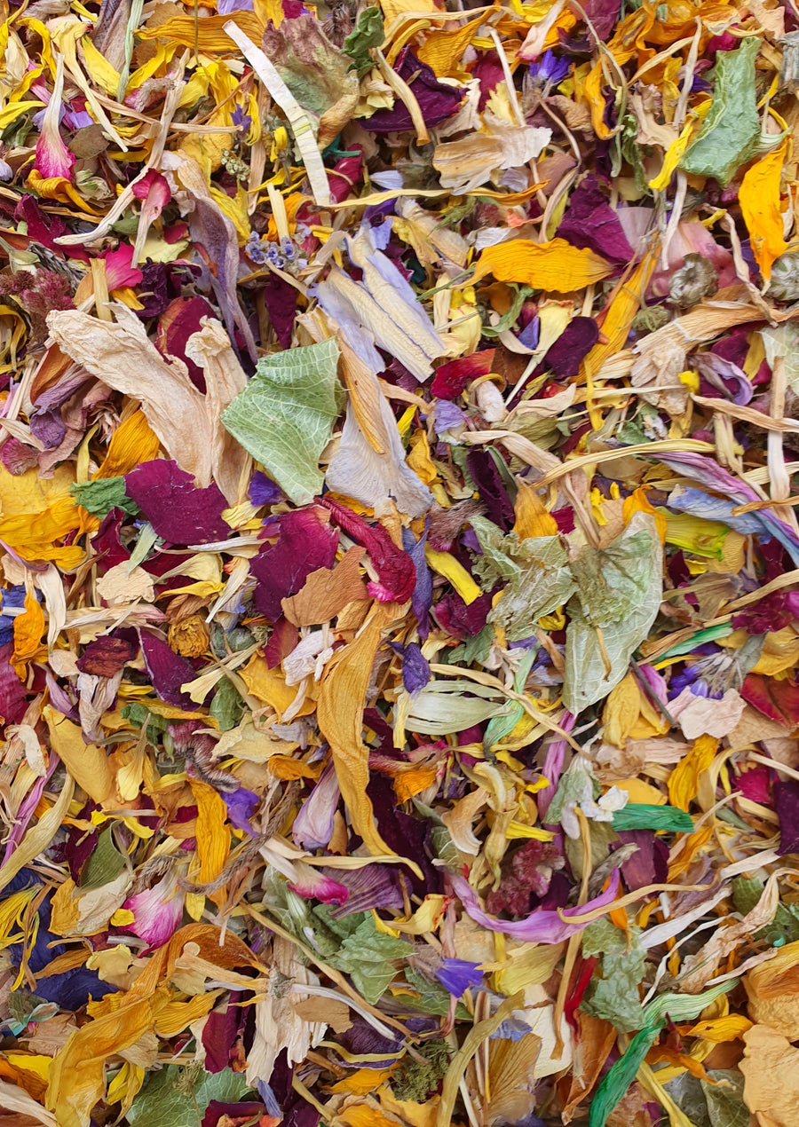 Dry Mixed Flower Confetti - Colourful