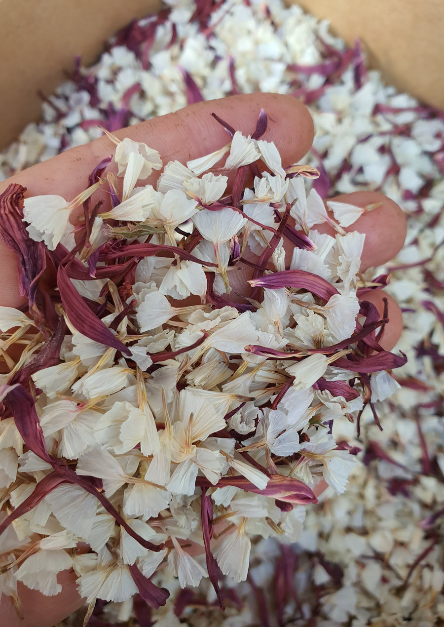 Dry Chrysanthemum Confetti - Burgundy