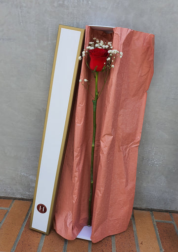 Single Rose in box