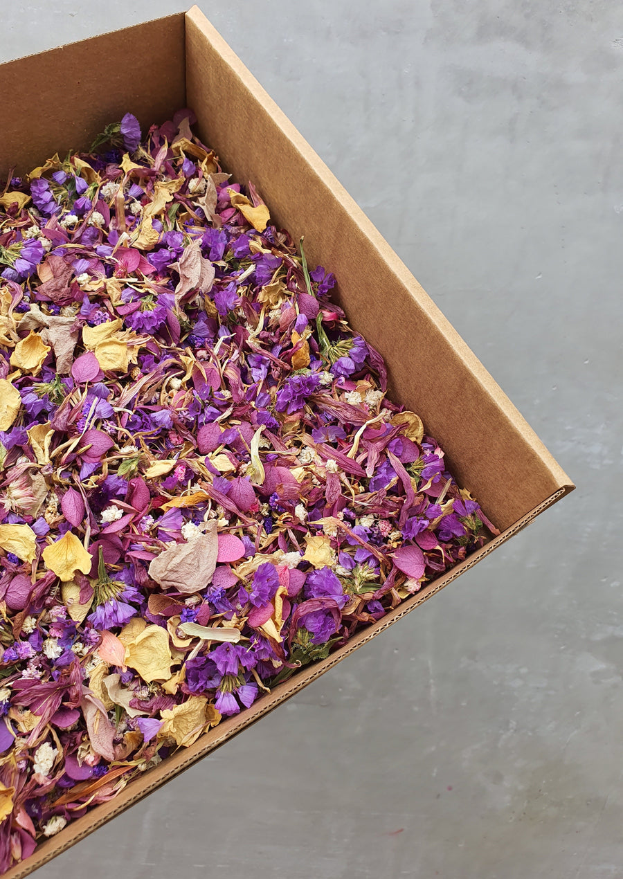 Dry Mixed Flower Confetti - Purple Tones