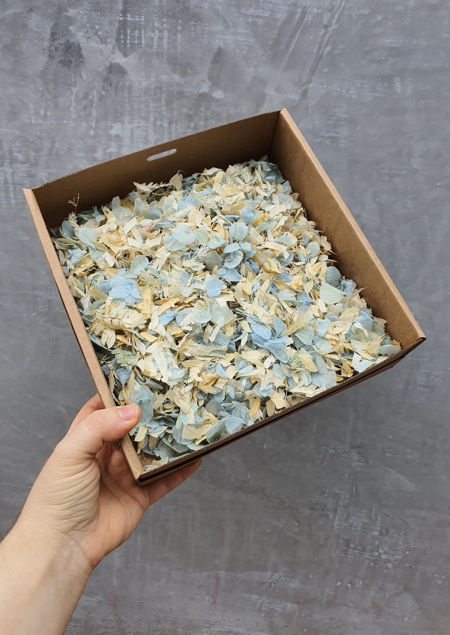 Preserved Floral Confetti - Blue and White Mix