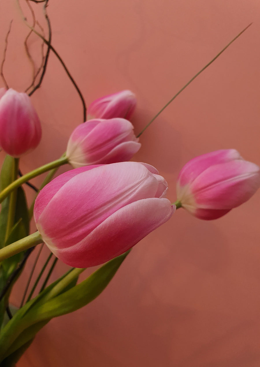 *Mother's Day* - Fresh Tulip bundles - Wrapped - 10 Stems