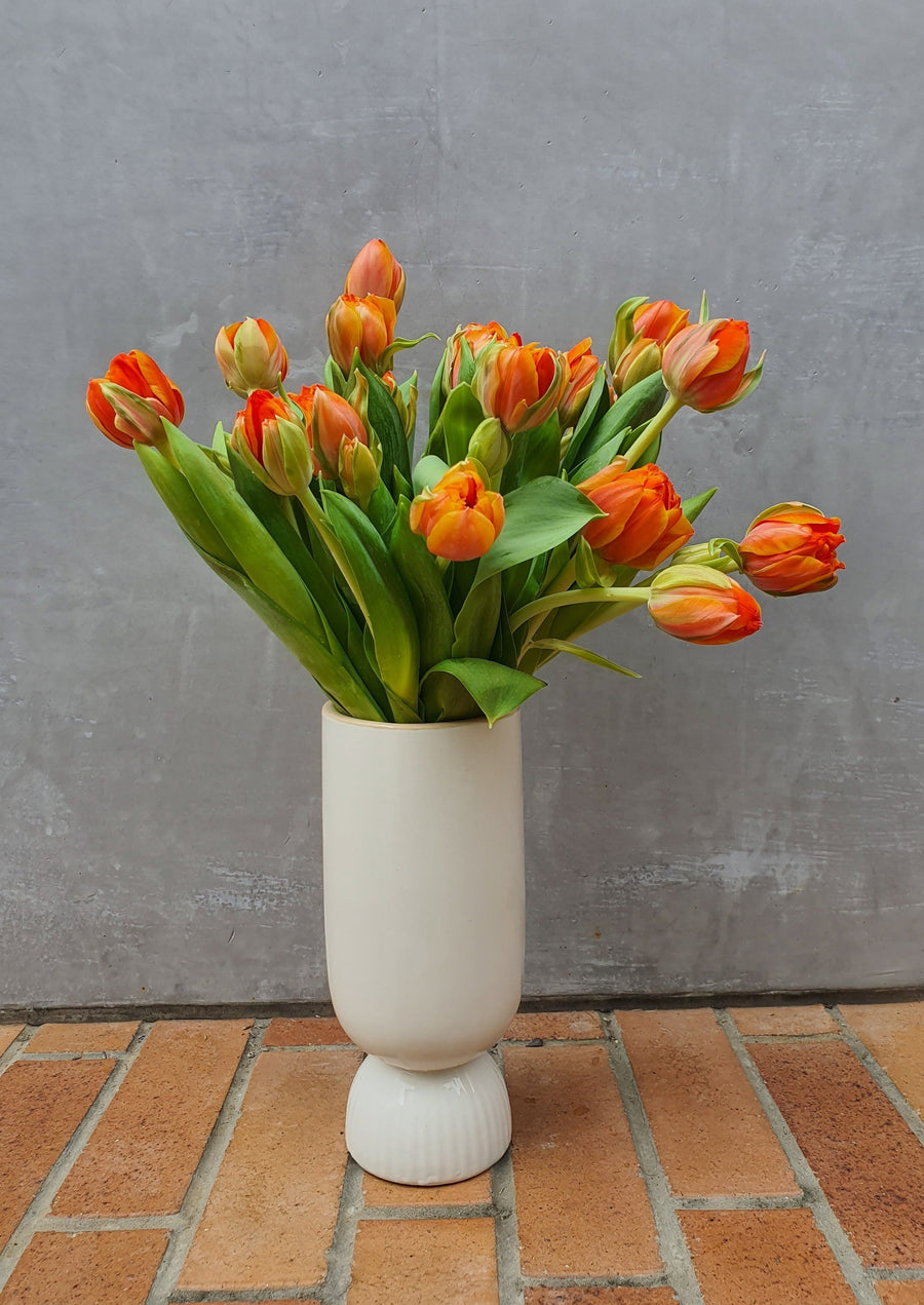 *Mother's Day* - Fresh Tulip bundles - Wrapped - 10 Stems