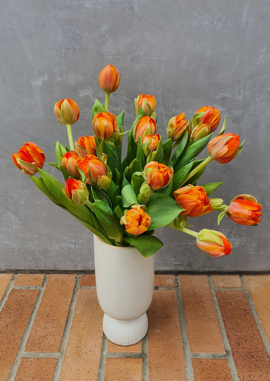 *Mother's Day* - Fresh Tulip bundles - Wrapped - 10 Stems