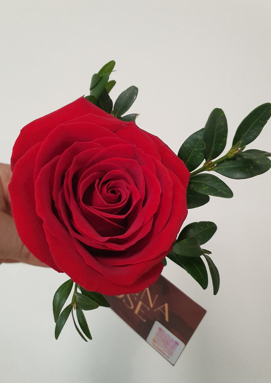 Handmade Floral Boutonnieres - Fresh Florals
