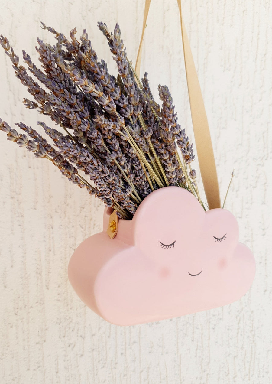 Hanging Cloud Planter - Pink