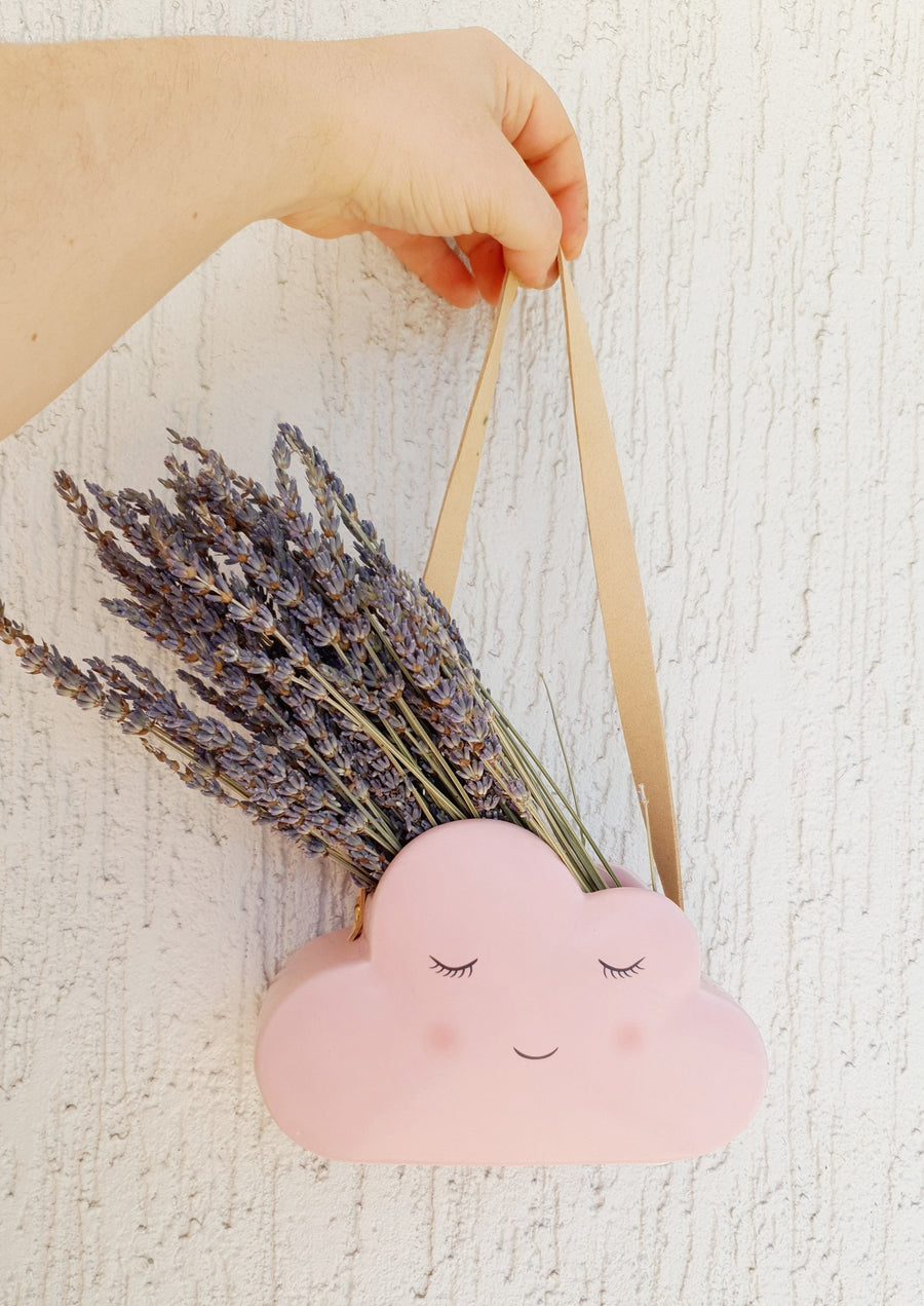 Hanging Cloud Planter - Pink