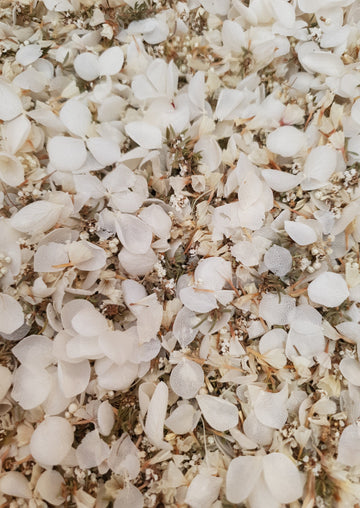 Preserved Hydrangea Confetti - Mixed Flower