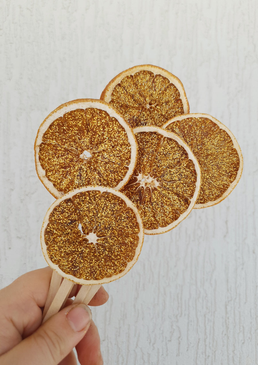 Glittery Citrus - Dried Oranges