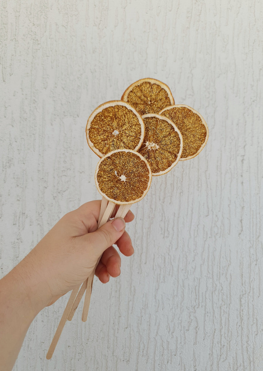 Glittery Citrus - Dried Oranges