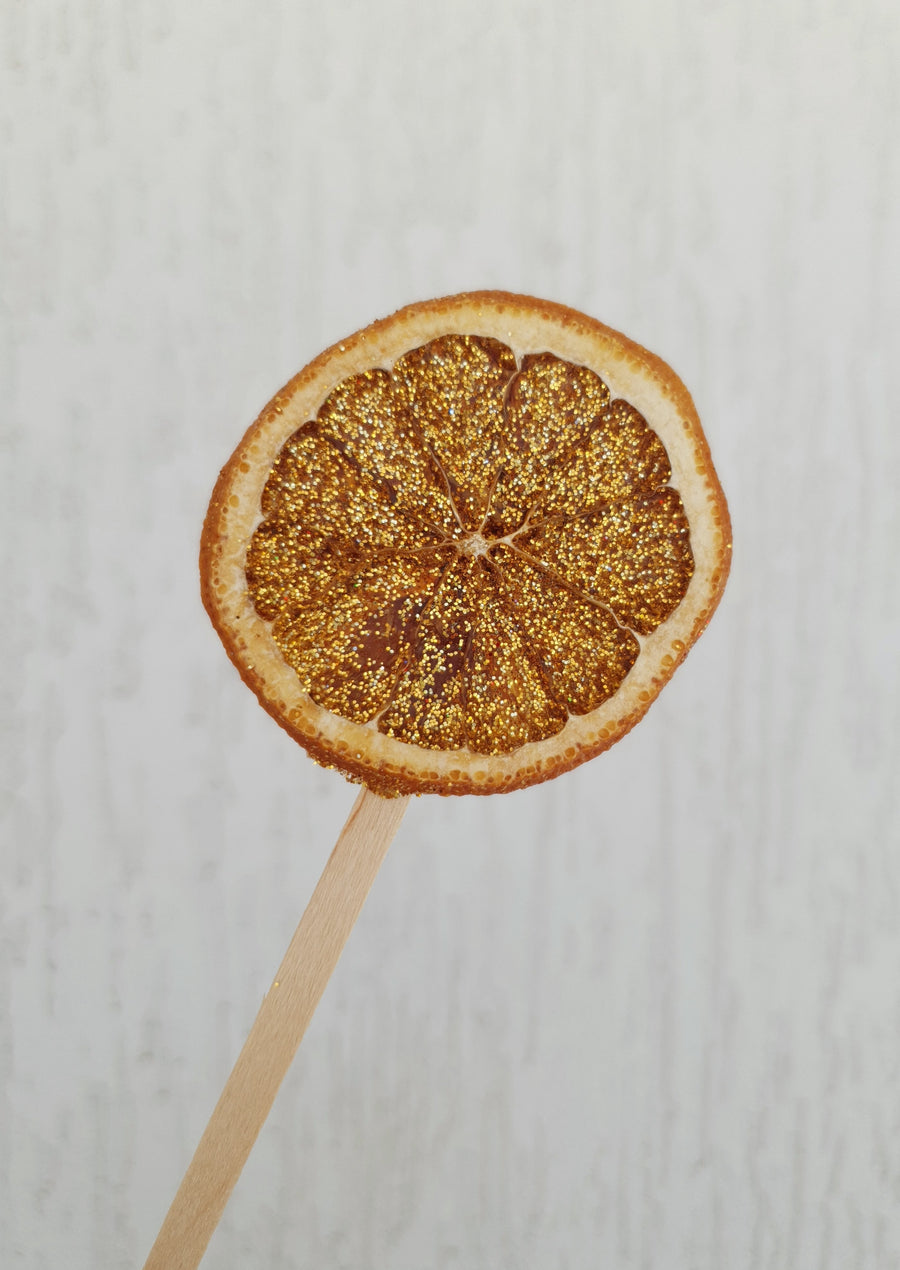 Glittery Citrus - Dried Oranges