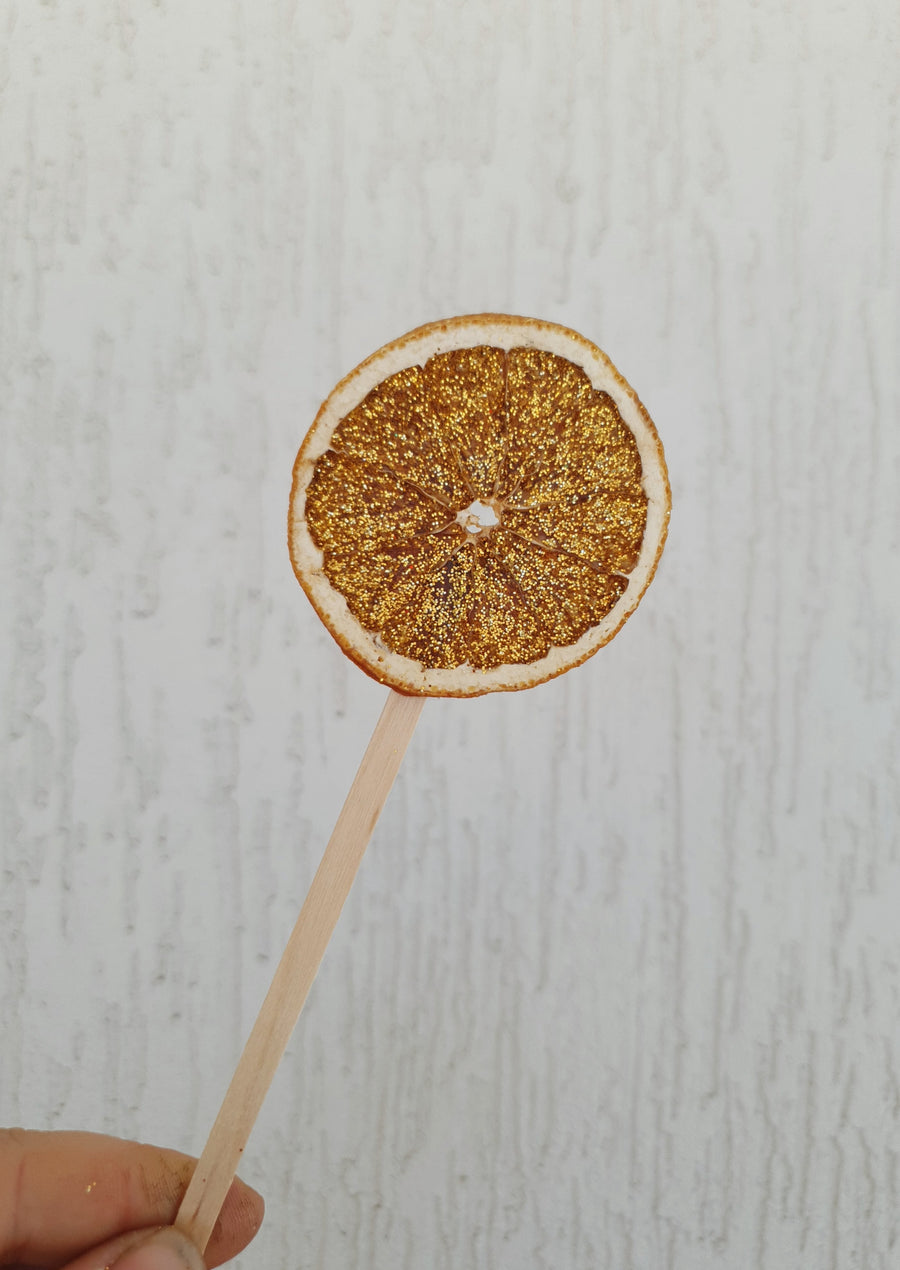 Glittery Citrus - Dried Oranges