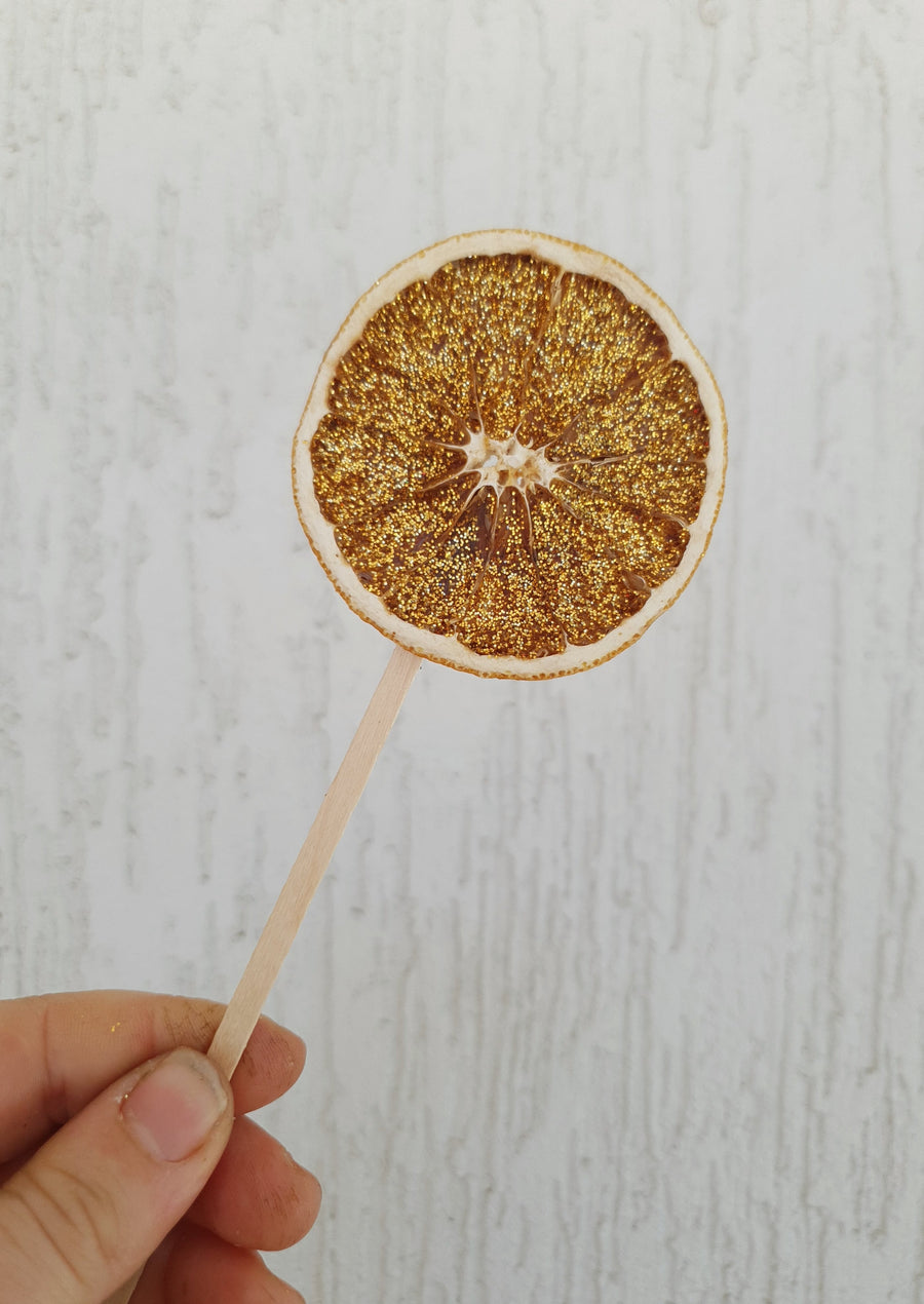 [Taking Pre-orders] Glittery Citrus - Dried Oranges