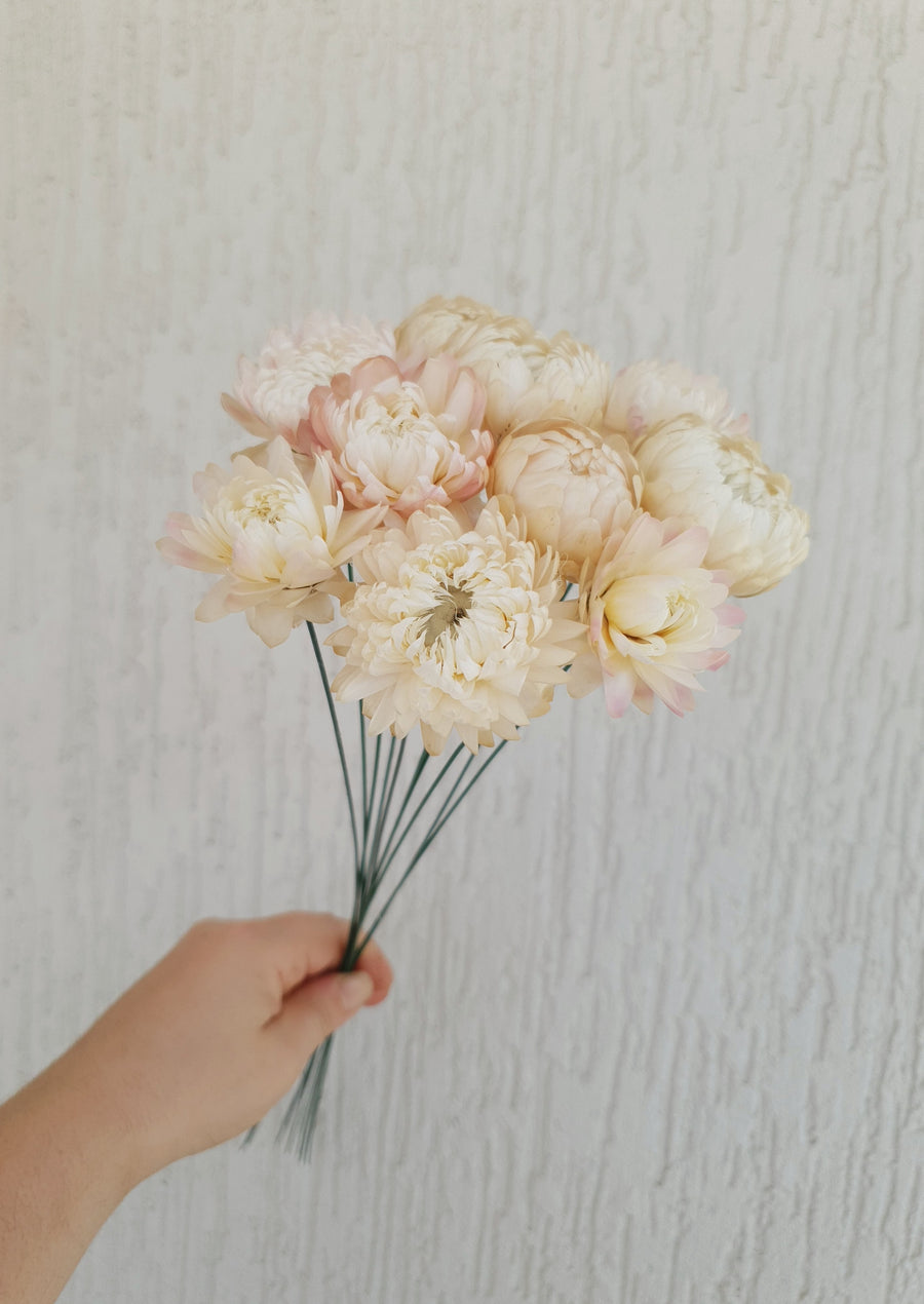 Straw Flower Bouquet - Dried - Everlasting - Pink and White