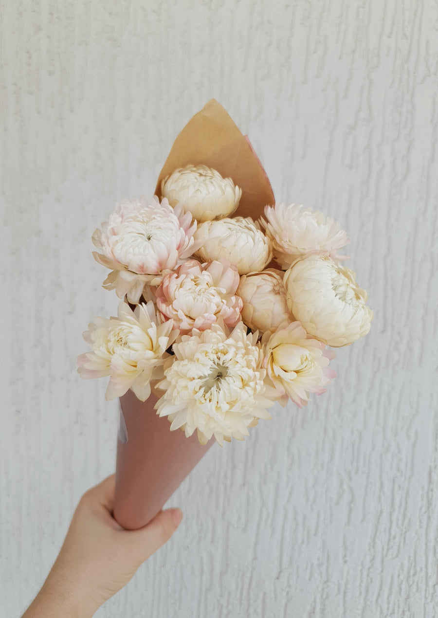 Straw Flower Bouquet - Dried - Everlasting - Pink and White