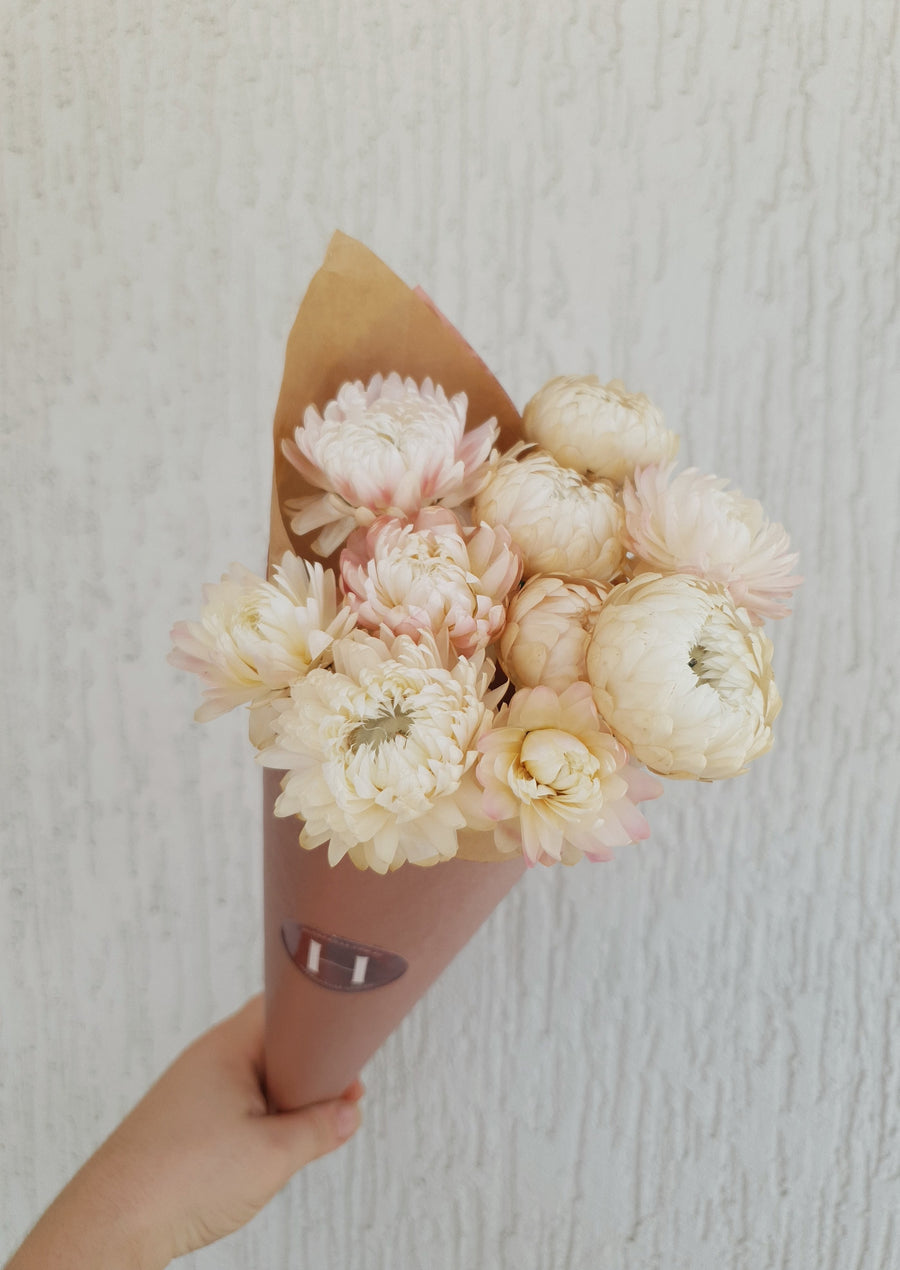 Straw Flower Bouquet - Dried - Everlasting - Pink and White