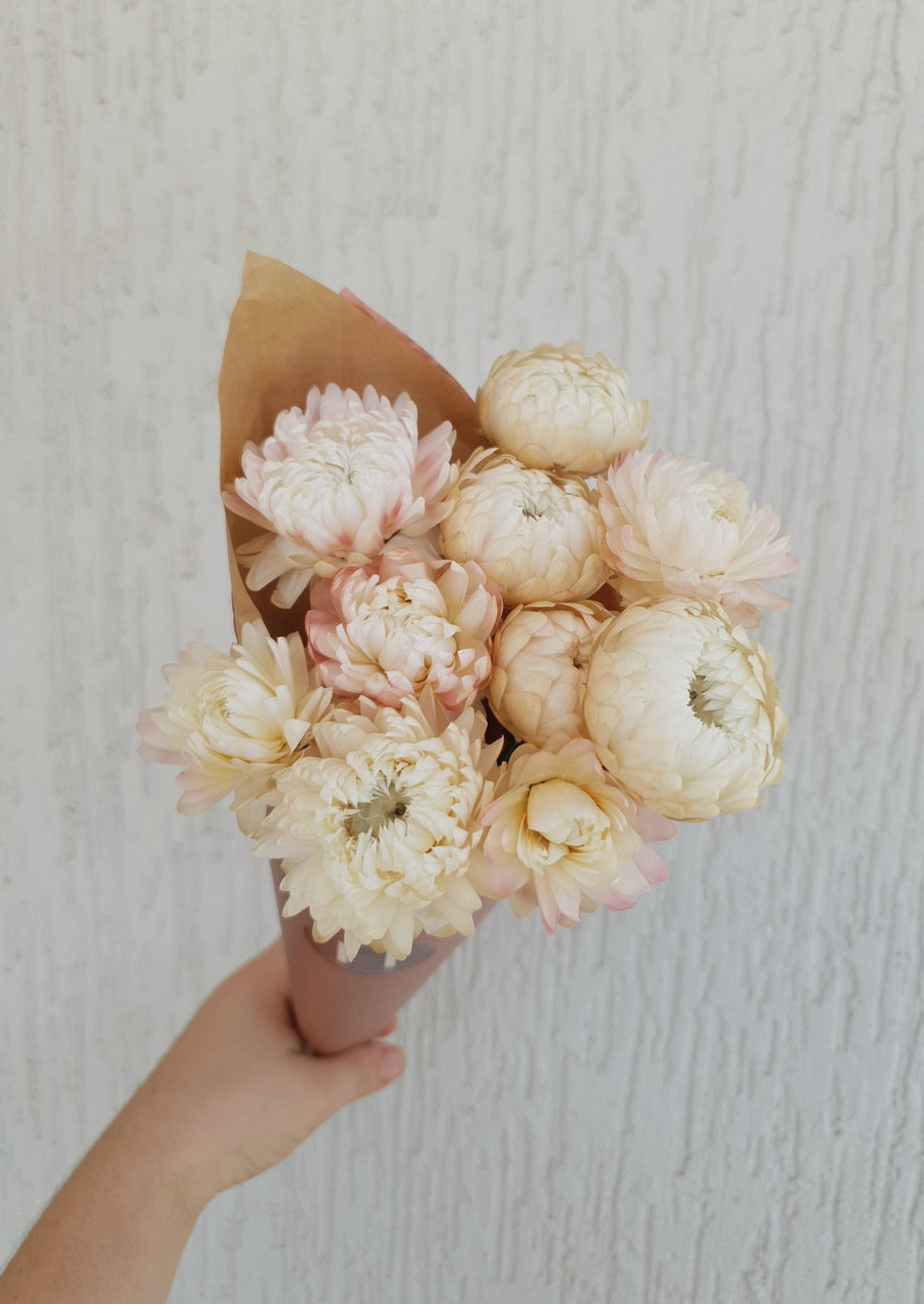 Straw Flower Bouquet - Dried - Everlasting - Pink and White