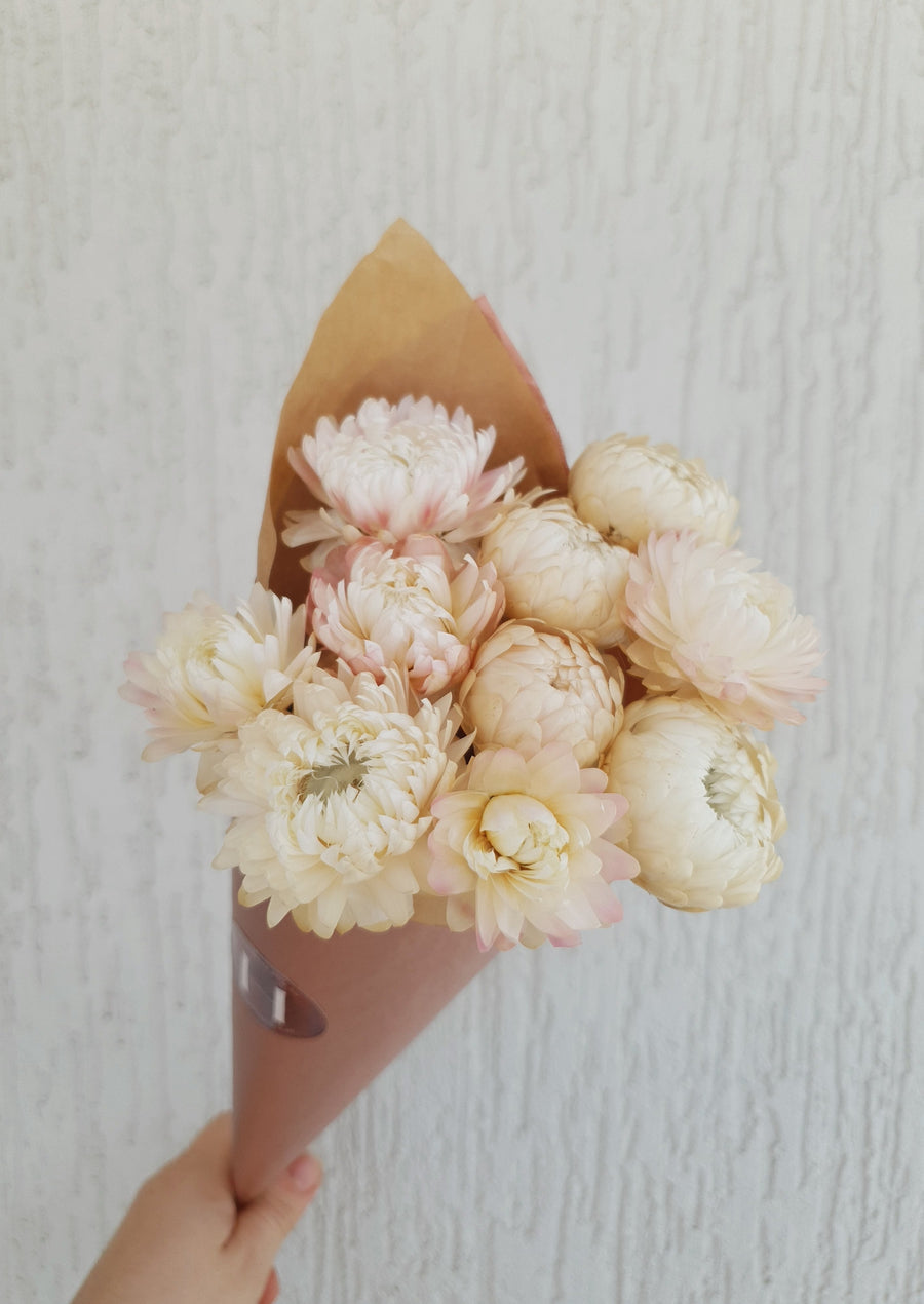 Straw Flower Bouquet - Dried - Everlasting - Pink and White