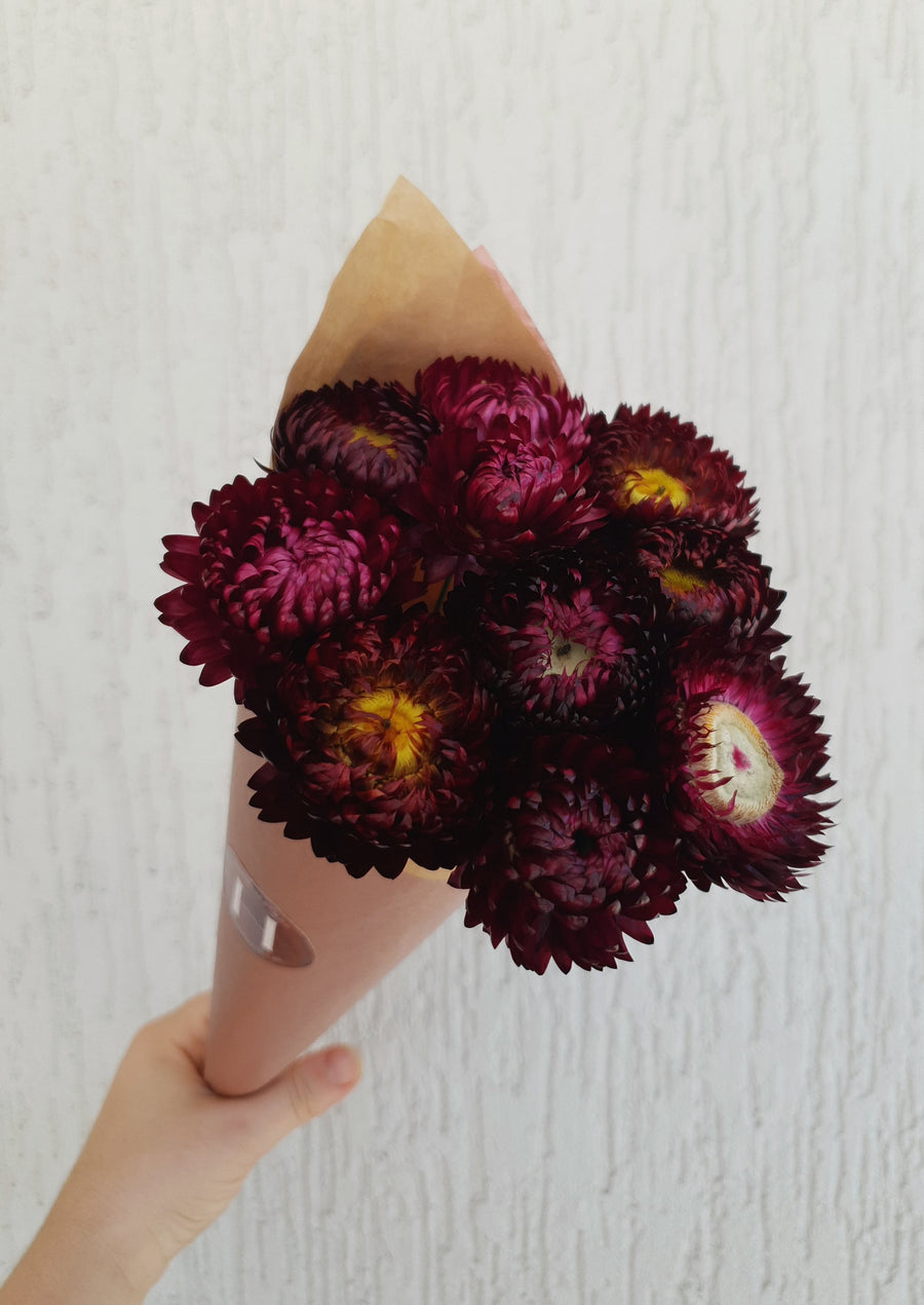 Straw Flower Bouquets - Dried - Everlasting - Burgundy