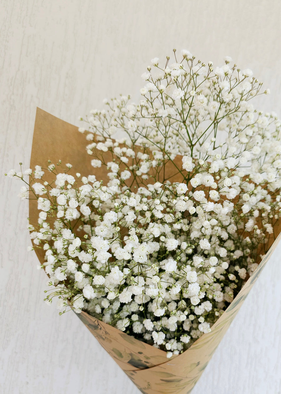 Fresh Babys Breath Bundles - White