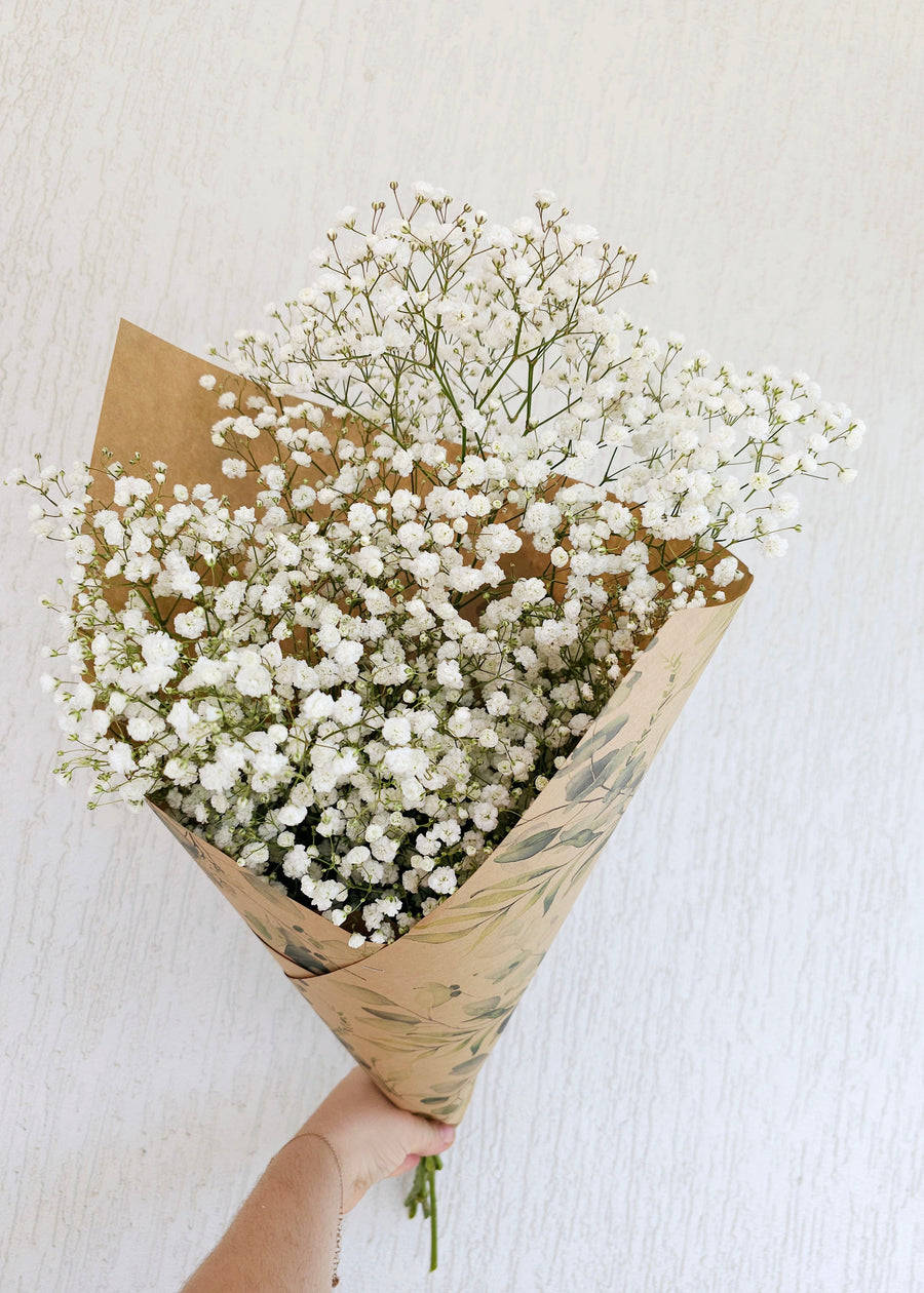 Fresh Babys Breath Bundles - White