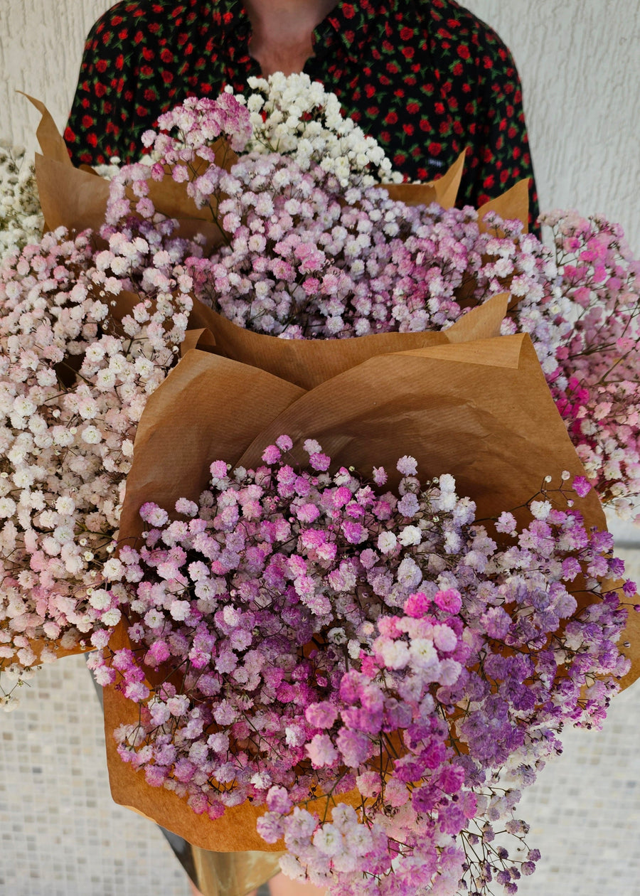 Fresh Babys Breath Bundles - Pink