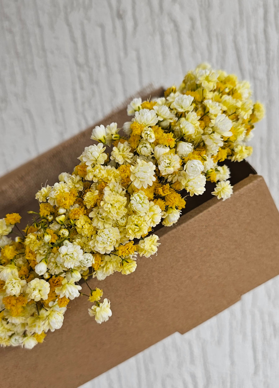 Babys Breath Flower Crown - Fresh (Yellow)