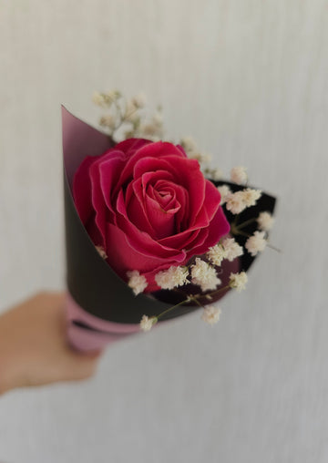 *International Womens Day*  - Single Pink Rose