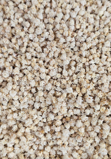 Dry Baby's Breath Confetti