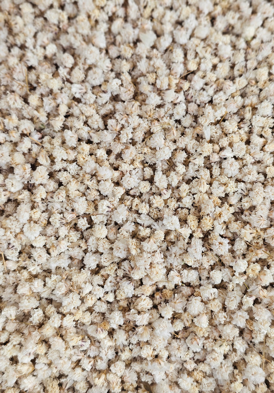 Dry Baby's Breath Confetti