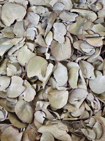 Dry Gum Leaf Confetti