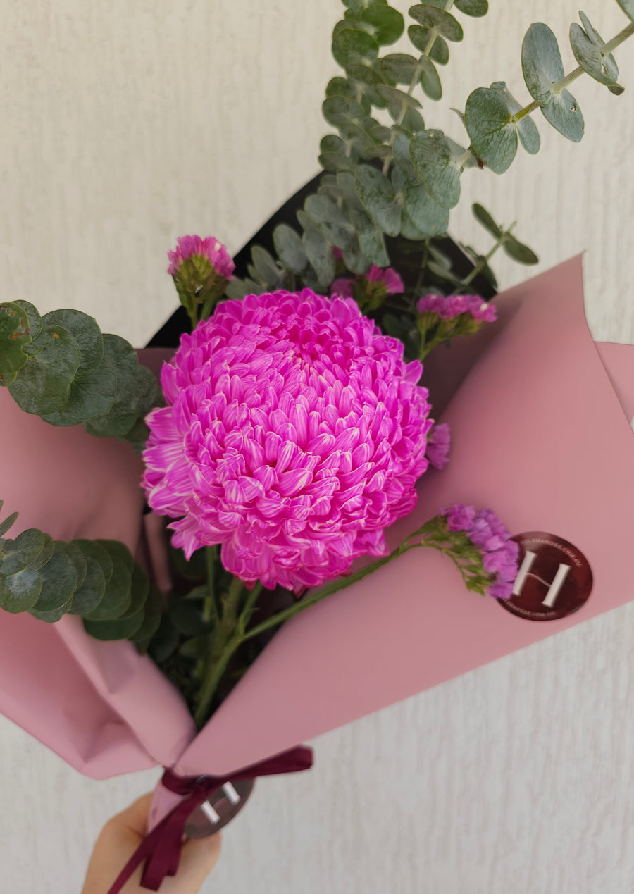 *International Womens Day*  - Single Fresh Pink Chrysanthymum Disbud - wrapped