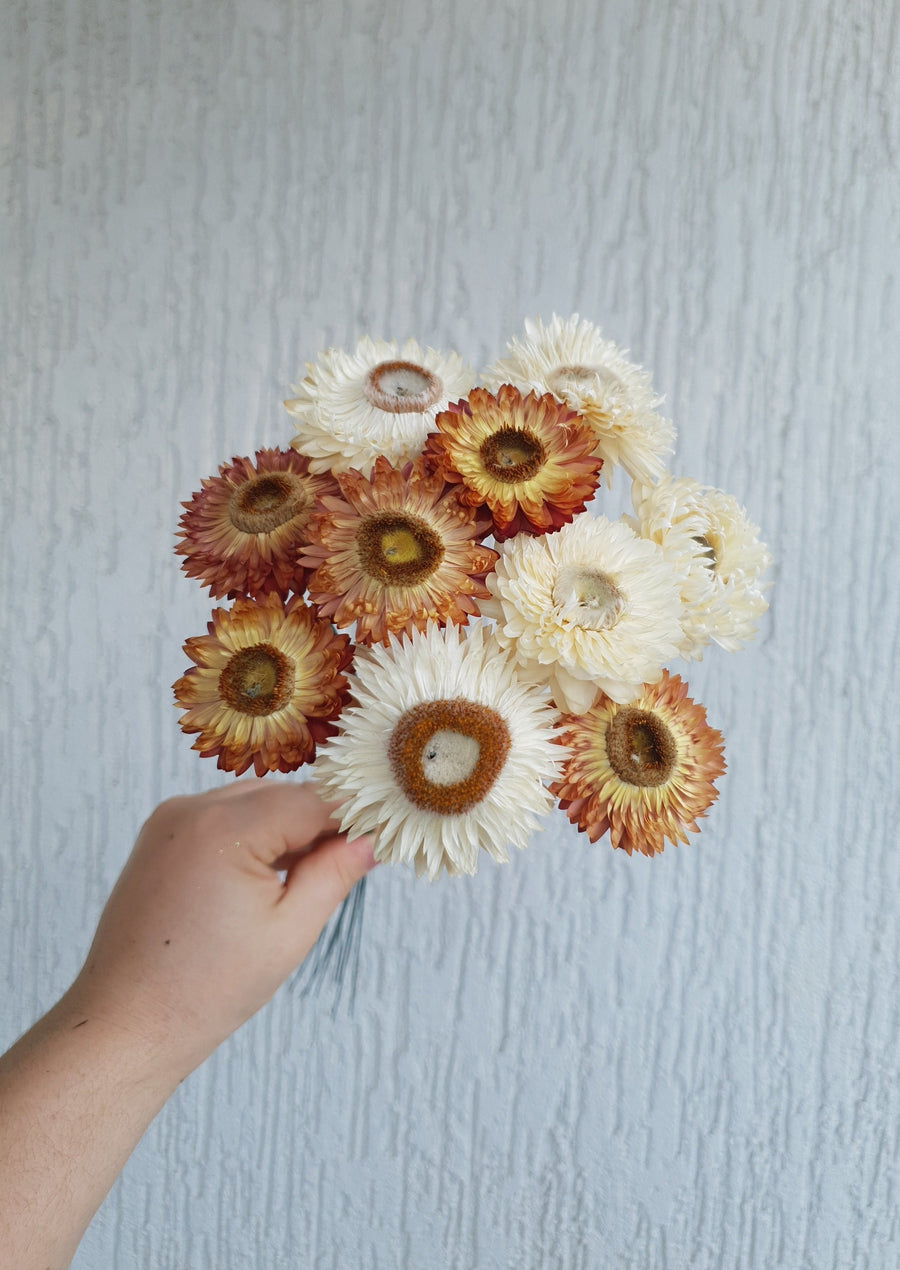 Straw Flower Bouquets - Dried - Everlasting - White and Orange Mix