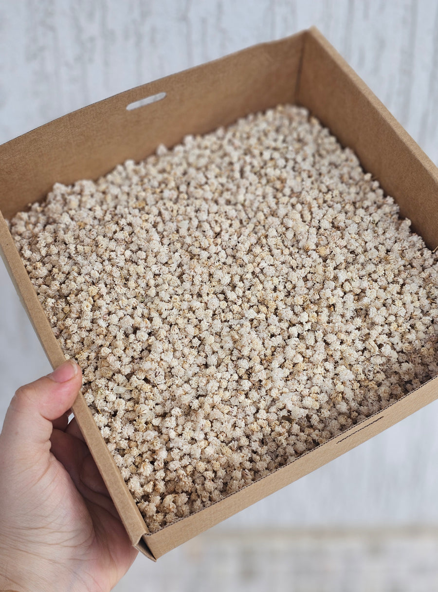 Dry Baby's Breath Confetti