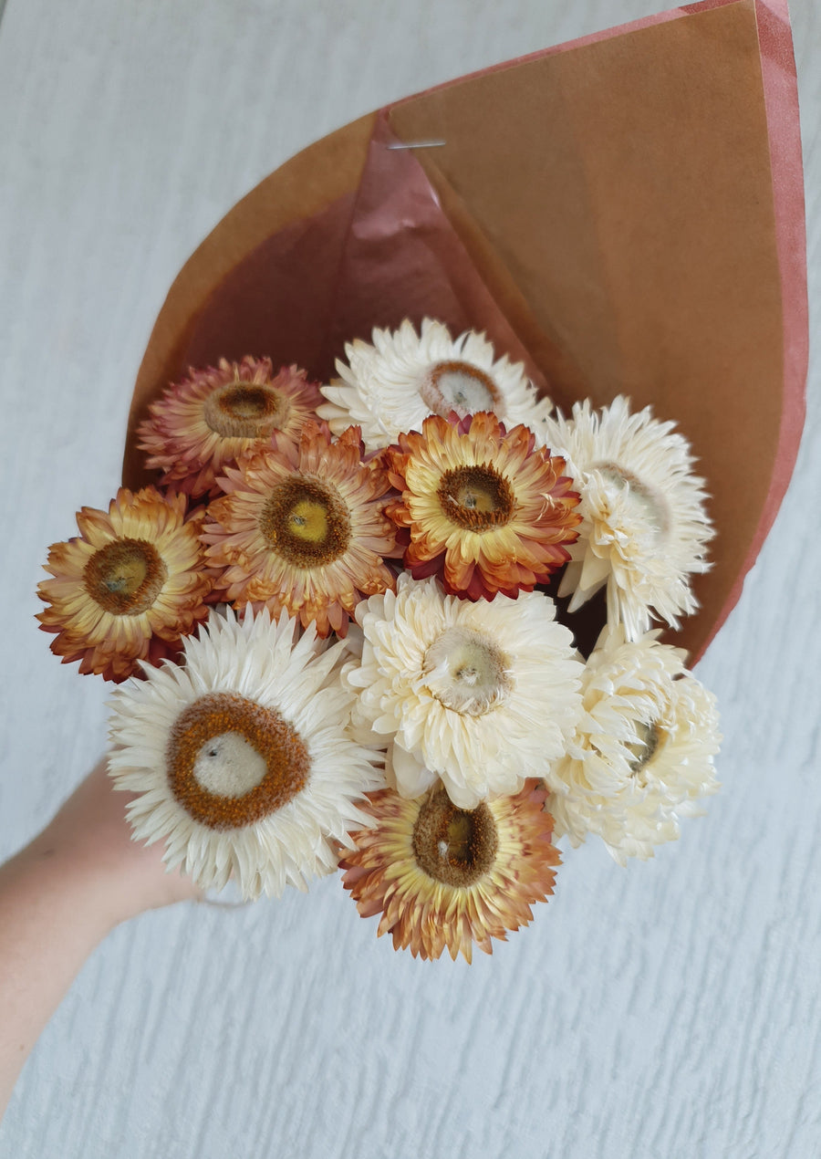 Straw Flower Bouquets - Dried - Everlasting - White and Orange Mix