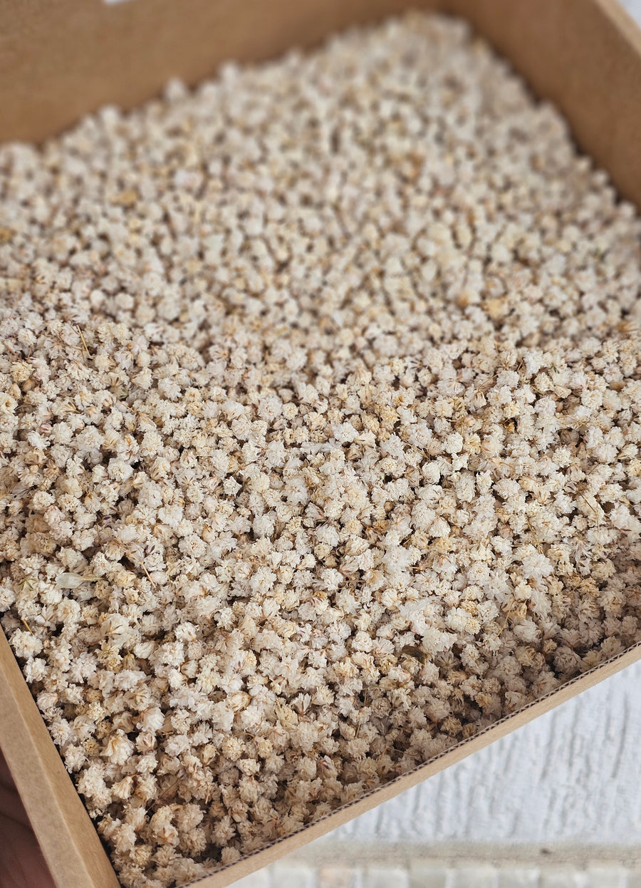 Dry Baby's Breath Confetti