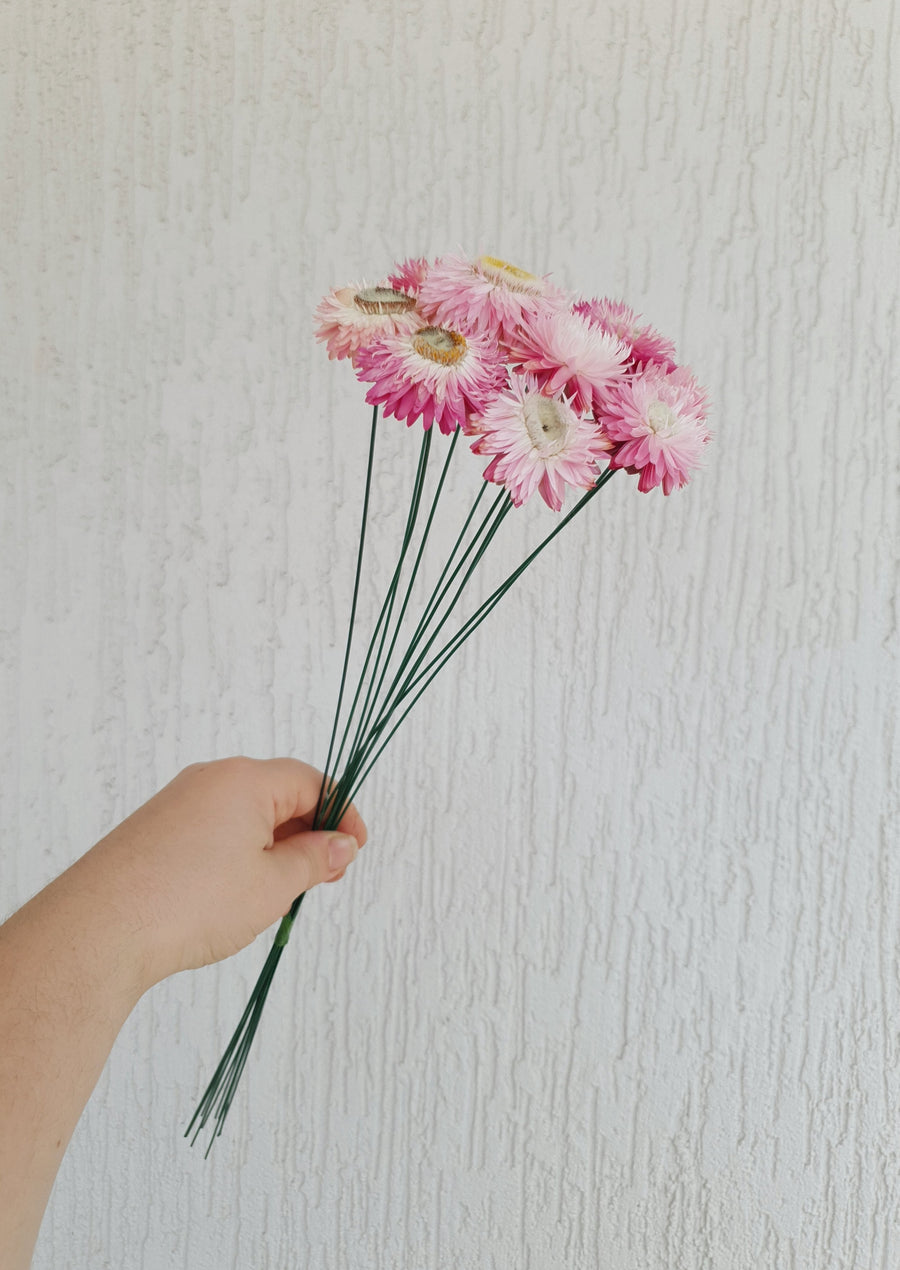 Straw Flower Bouquets - Dried - Everlasting - Light Pink