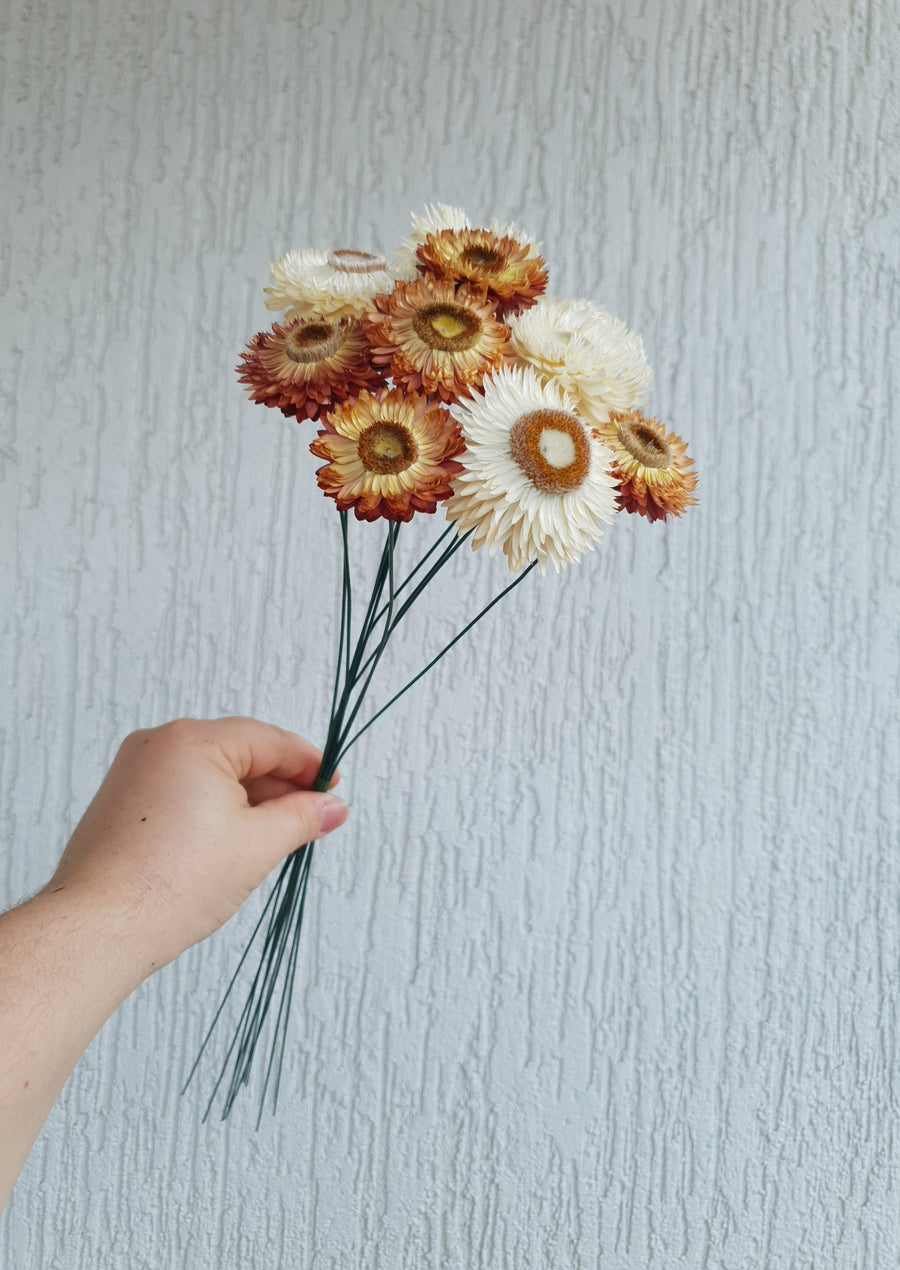 Straw Flower Bouquets - Dried - Everlasting - White and Orange Mix