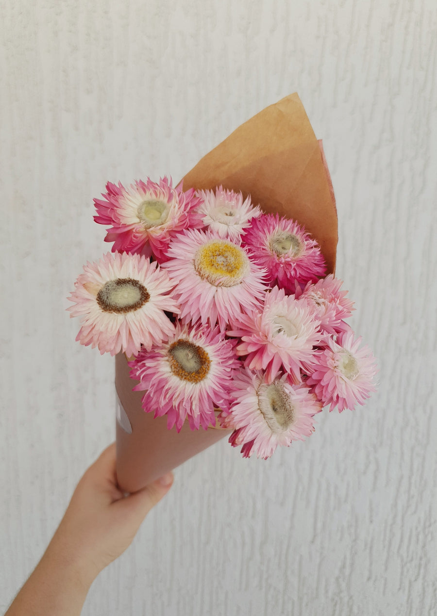 Straw Flower Bouquets - Dried - Everlasting - Light Pink