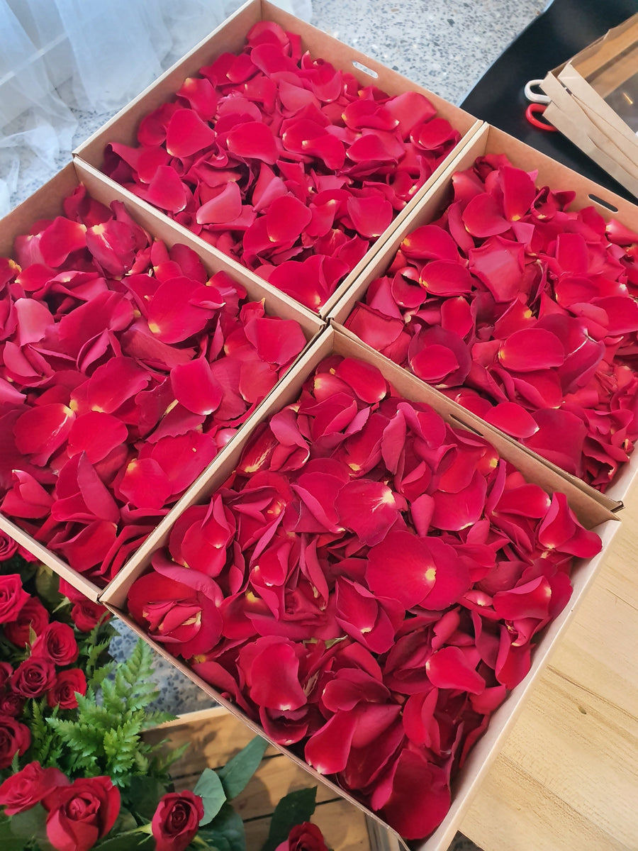 Valentines Day Rose Petal Scatter - Fresh Rose Petals - RED