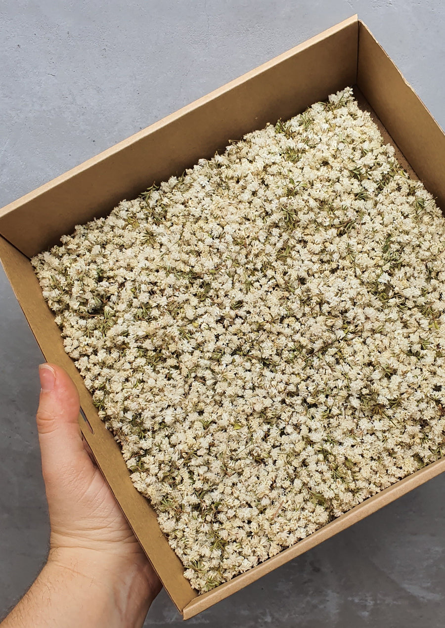 Dry Baby's Breath Confetti