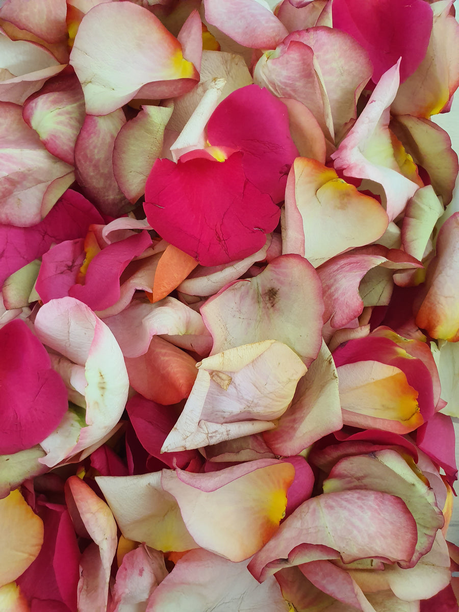 Fresh Rose Petal Confetti