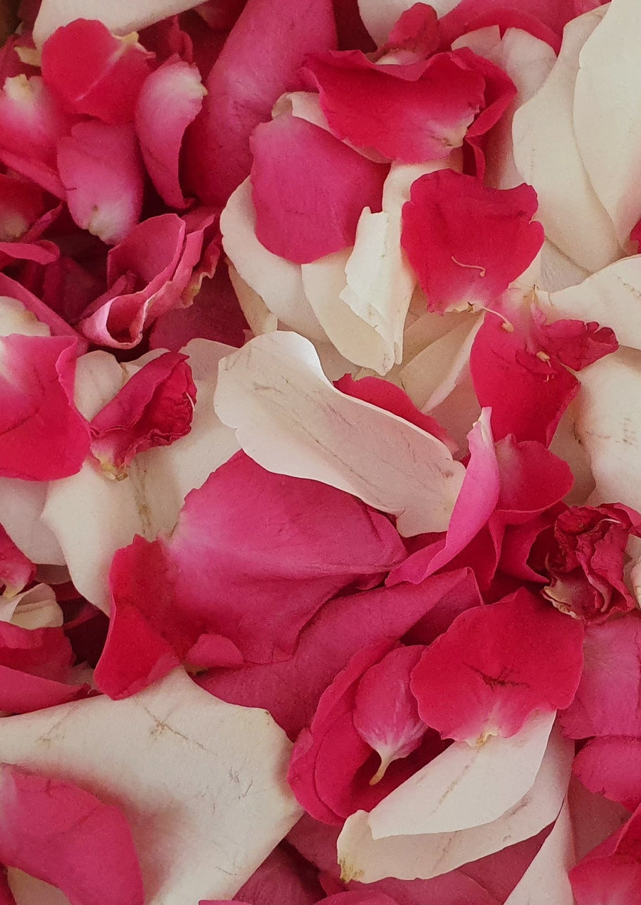 Fresh Rose Petal Confetti