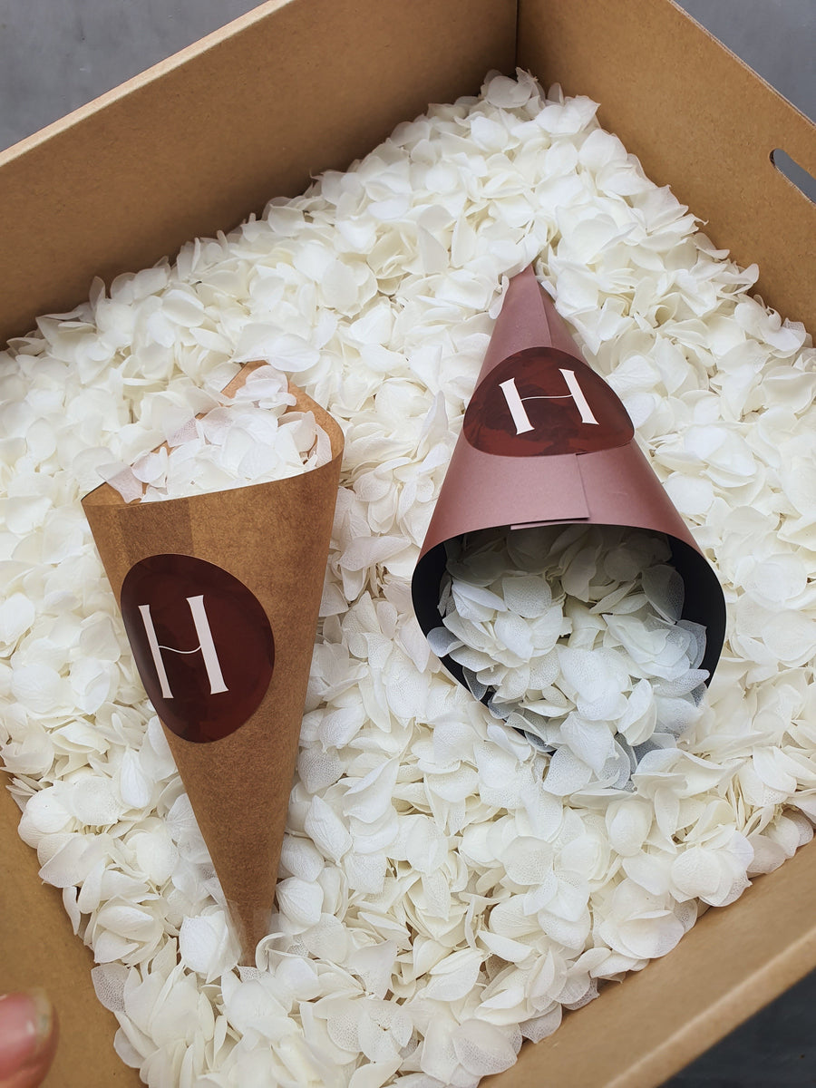 Preserved Hydrangea Confetti - White