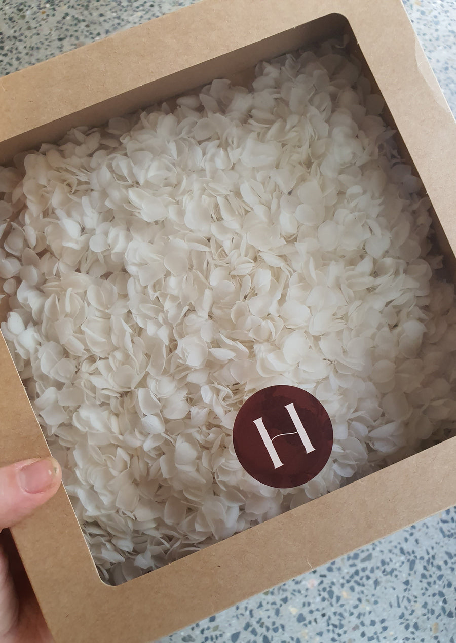 Preserved Hydrangea Confetti - White